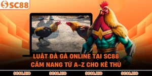 Luật Đá Gà Online Tại SC88: Cẩm Nang Từ A-Z Cho Kê Thủ